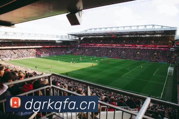 beat365在线体育平台发展历程